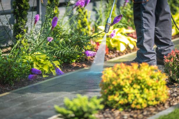 Best Roof Washing  in Urbana, IL